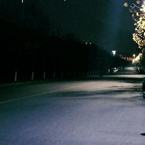 阿部夏树无码视频
